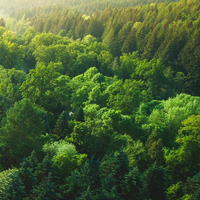 Ricoh PS-K5FINSAA1A GPN404 FI-74×0 オンサイト 5年保守 平日9-17 Ricoh PS-K5FINSAA1A GPN404 FI-74×0 オンサイト 5年保守 平日9-17